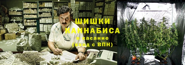 ПСИЛОЦИБИНОВЫЕ ГРИБЫ Краснотурьинск