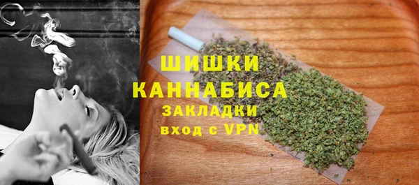 амф Краснослободск