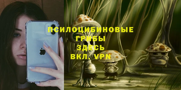 амф Краснослободск